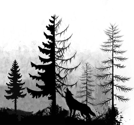 Foto di nudo di fuga di OnlyFans di Manuel