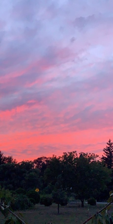 Foto di nudo di fuga di OnlyFans di Kaye