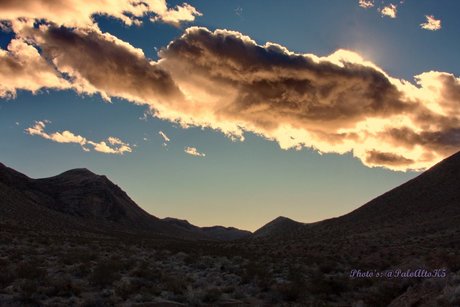 Foto di nudo di fuga di OnlyFans di Pogineko