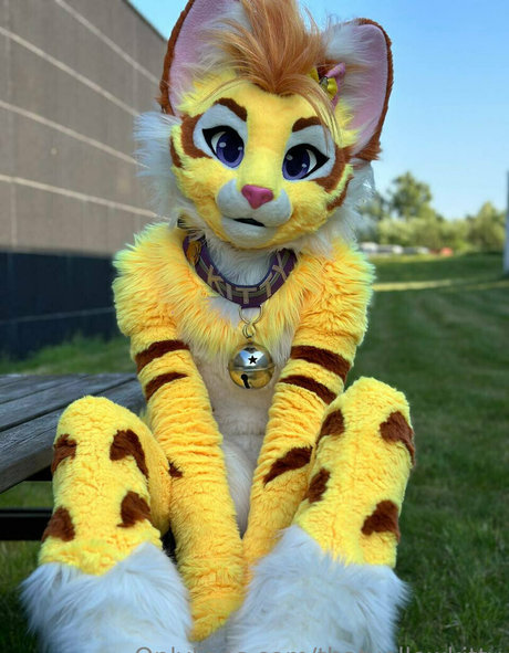 Thatyellowkitty
