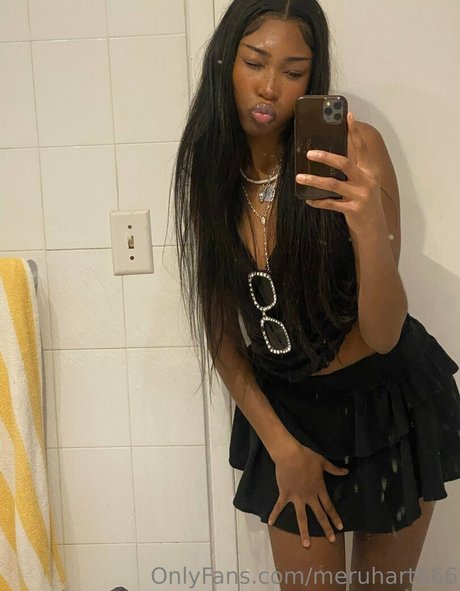 Meruhart666