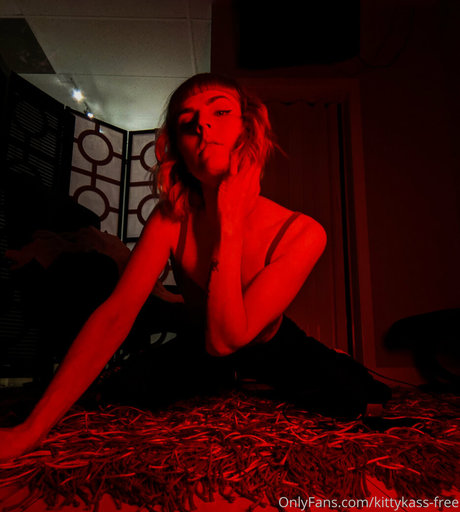 Kittykassfree