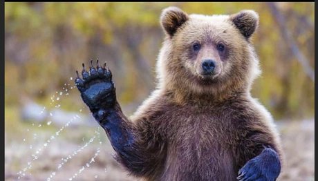 Foto di nudo di fuga di OnlyFans di Chubbyguy