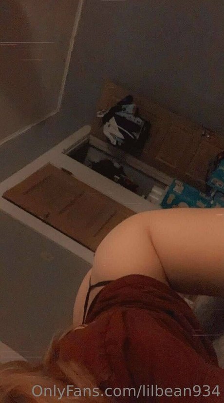 Lilbean934