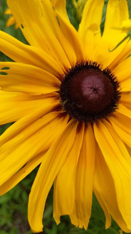 Foto di nudo di fuga di OnlyFans di T  Free