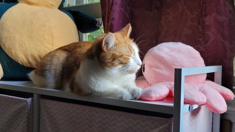 Foto di nudo di fuga di OnlyFans di Zeus Lightning 