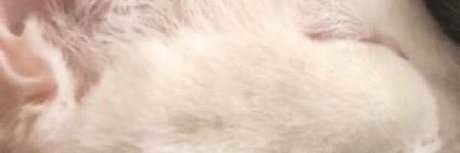 Ivan Pero En Cuarentena