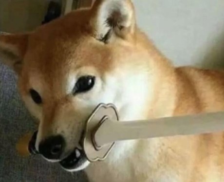 Foto di nudo di fuga di OnlyFans di Diddy Pup