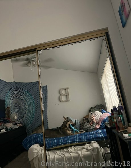 Brandibaby18