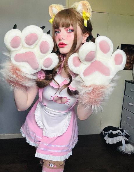 Thecutestkittycat