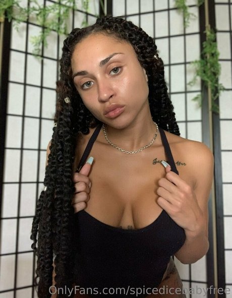 Spicedicebabyfree