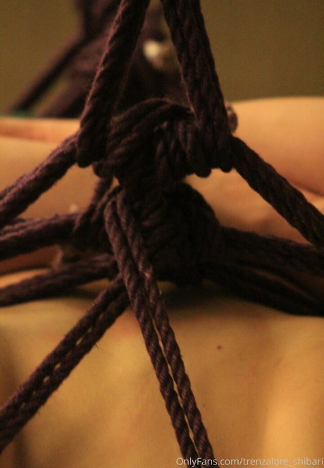 Trenzaloreshibari