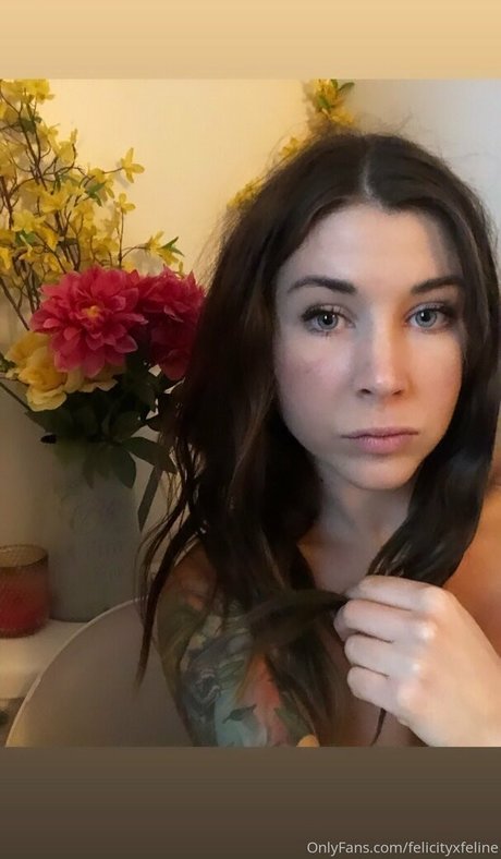 Felicityfeline