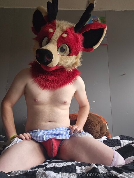 Velvetdeernsfw