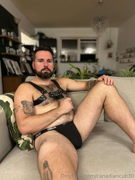 Canadiancub30