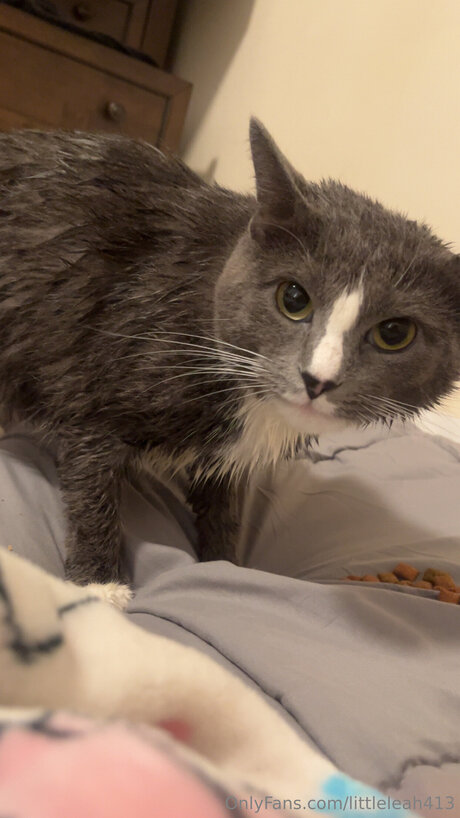 Littleleah413