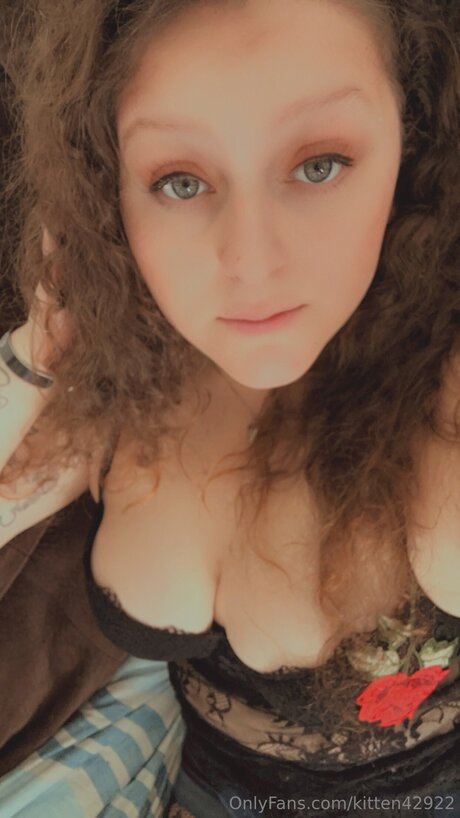 Kitten42922