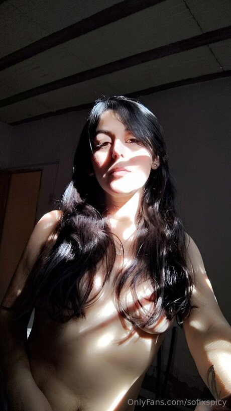 Sofixspicy
