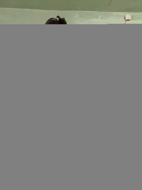 Libnyjesecabralcastillo