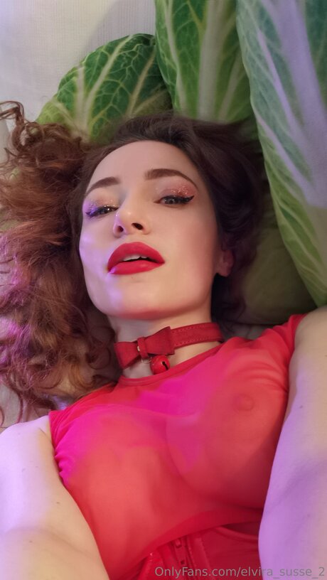 Elvira Susse 2