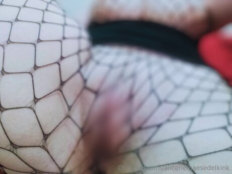 Alicenelpaesedelkink