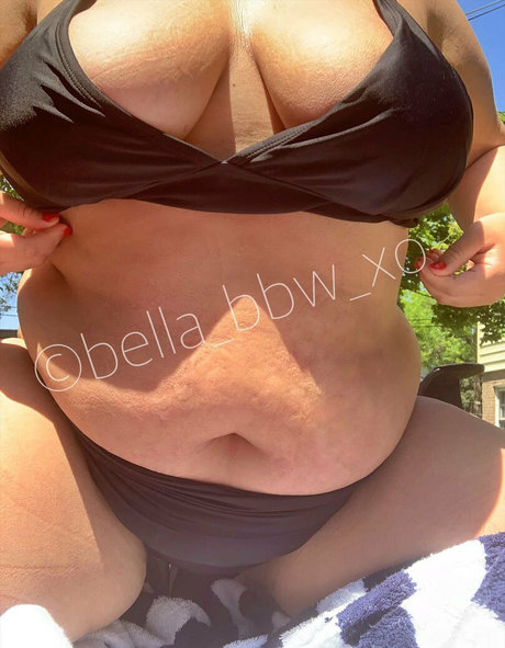 Thebbwbible