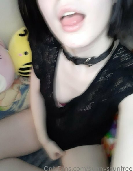 Sunnyssunfree