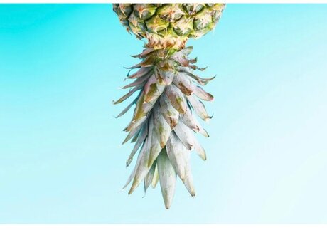 Yanii Sweet   Free Page