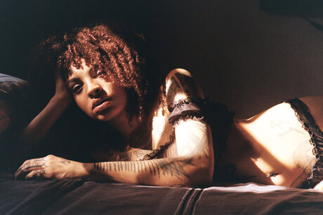 Moliv  Painter  Cool Cat