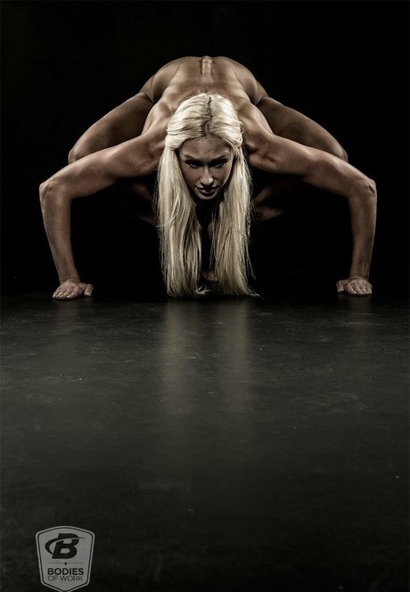 Bodybuildingcoms Bodieswork