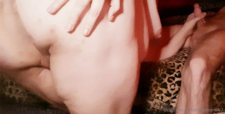 Catsmeoww7