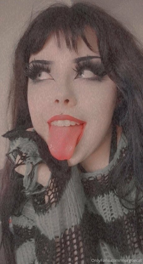 Morguecat