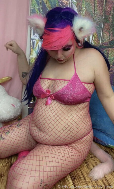 Chubbybunnyforever