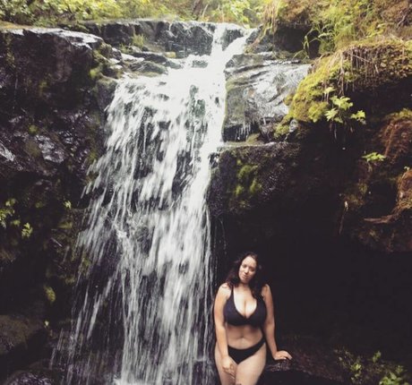 Lartdanstoutessesformes