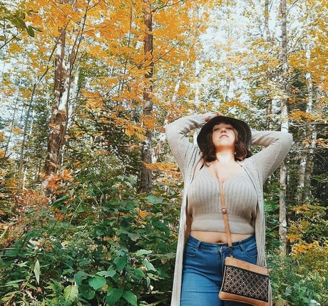 Lartdanstoutessesformes