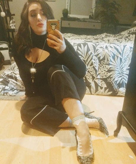 Lartdanstoutessesformes