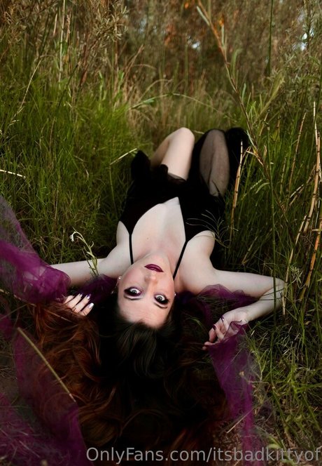 Itsbadkittyof