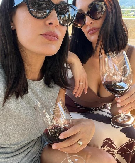 The Bella Twins