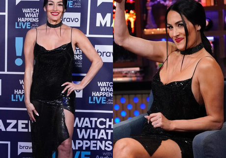 The Bella Twins