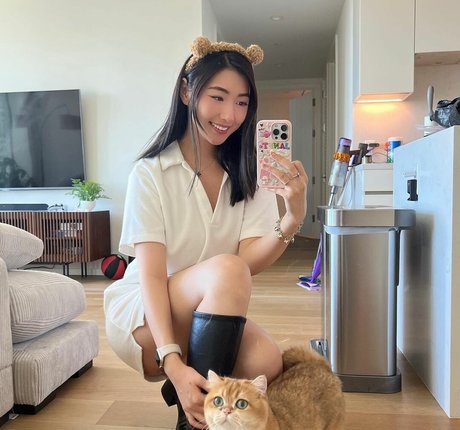 Xchocobars