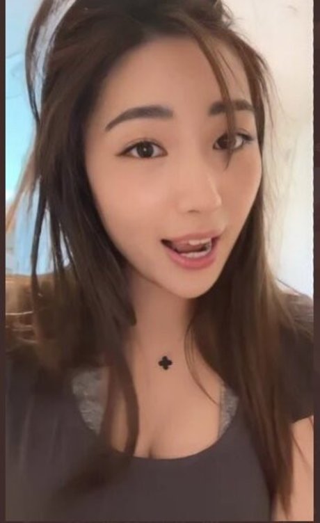 Xchocobars