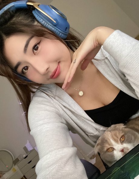 Xchocobars