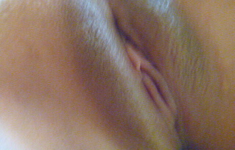 Exibam Sua Companheira