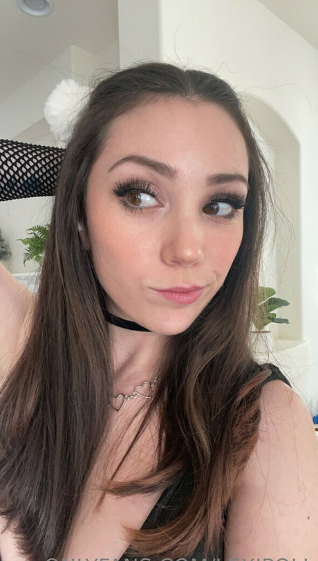 Lexipoll