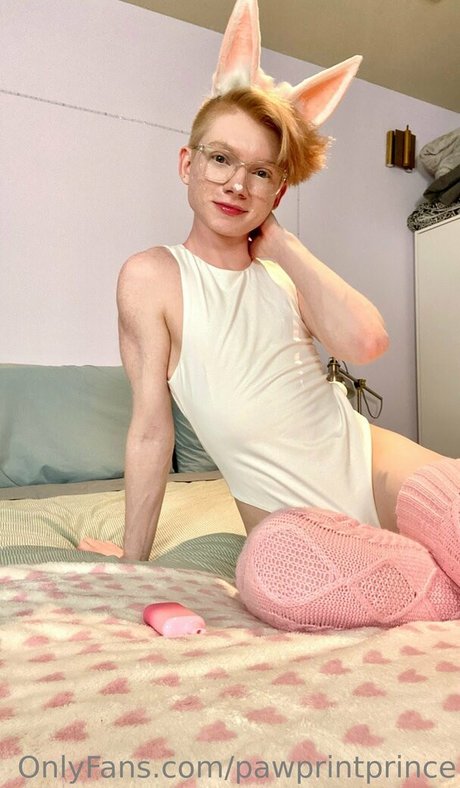 Pawprintprince
