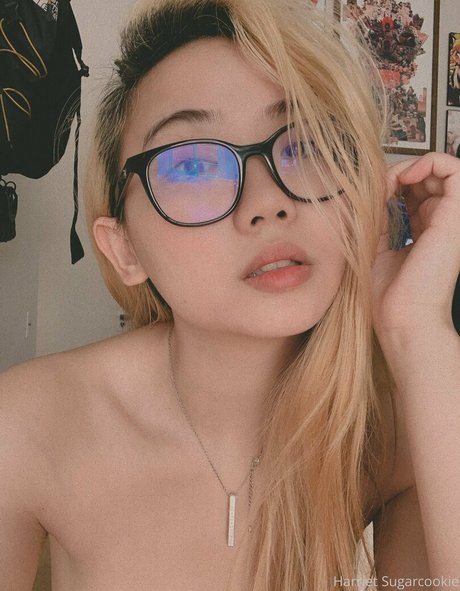 Harrietsugarcookie