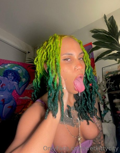 Wetkittycity