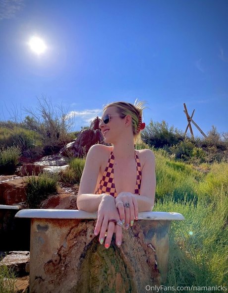 Namanicks