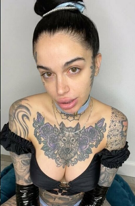 Leighravenx