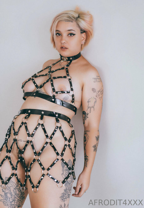 Afrodit4x